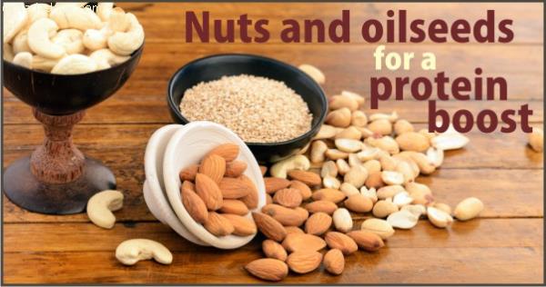 NUTS AND OIL SEEDS FOR A PROTEIN BOOST