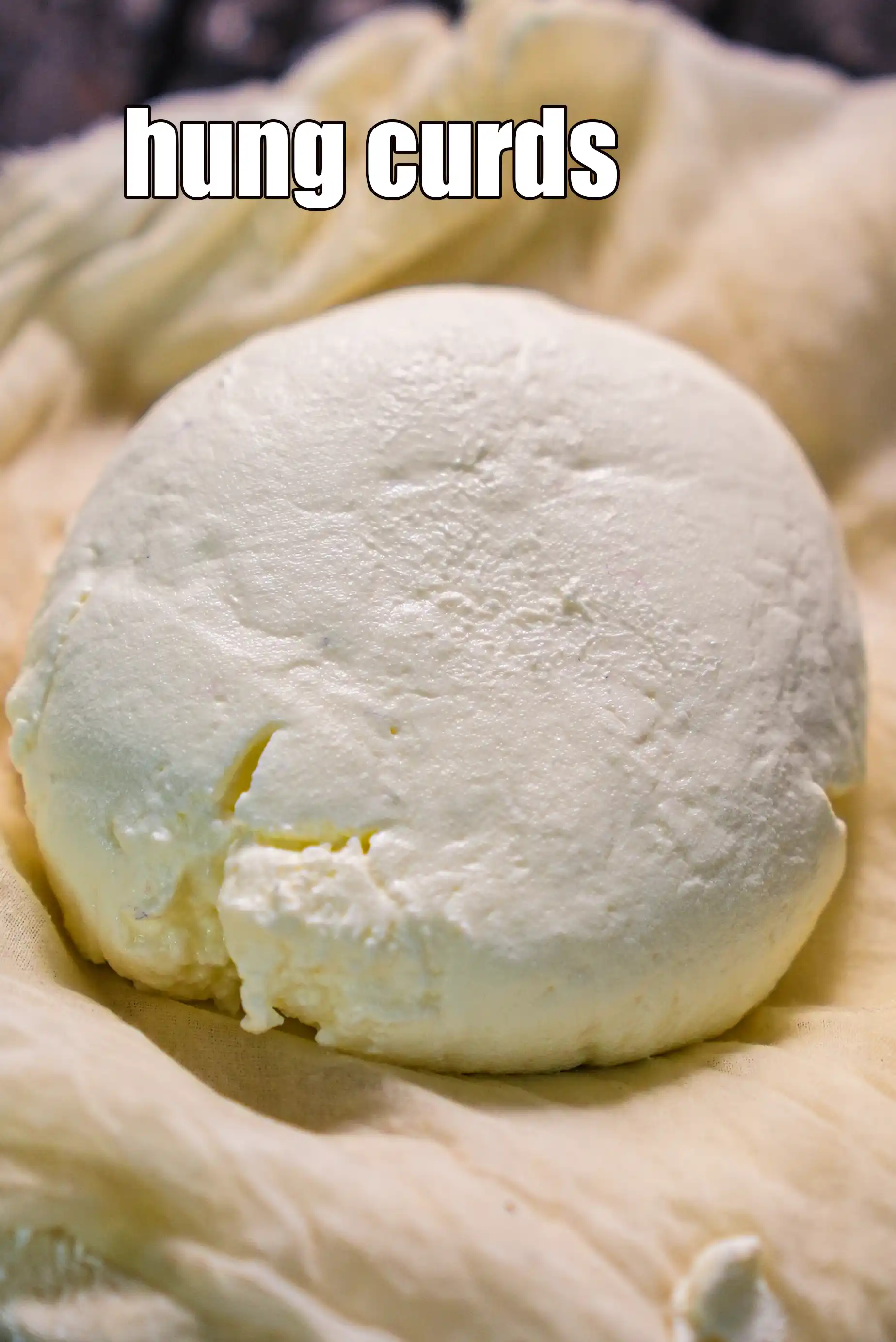 hung curds