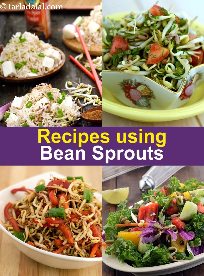Recipes using bean sprouts