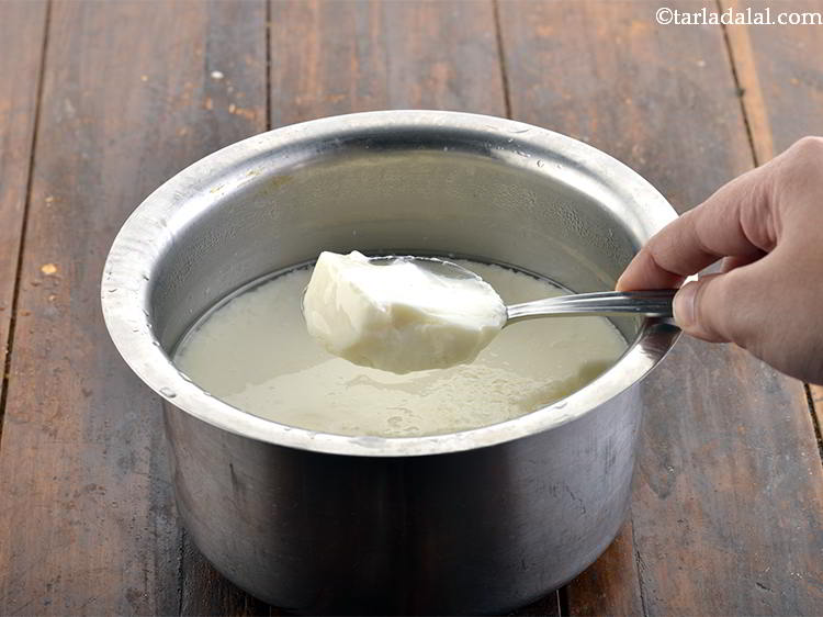 Basic Homemade Curd Dahi Or Yogurt Using Cows Milk Recipe