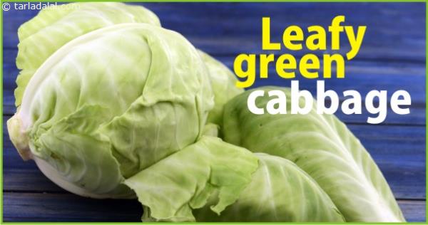 LEAFY GREEN CABBAGE
